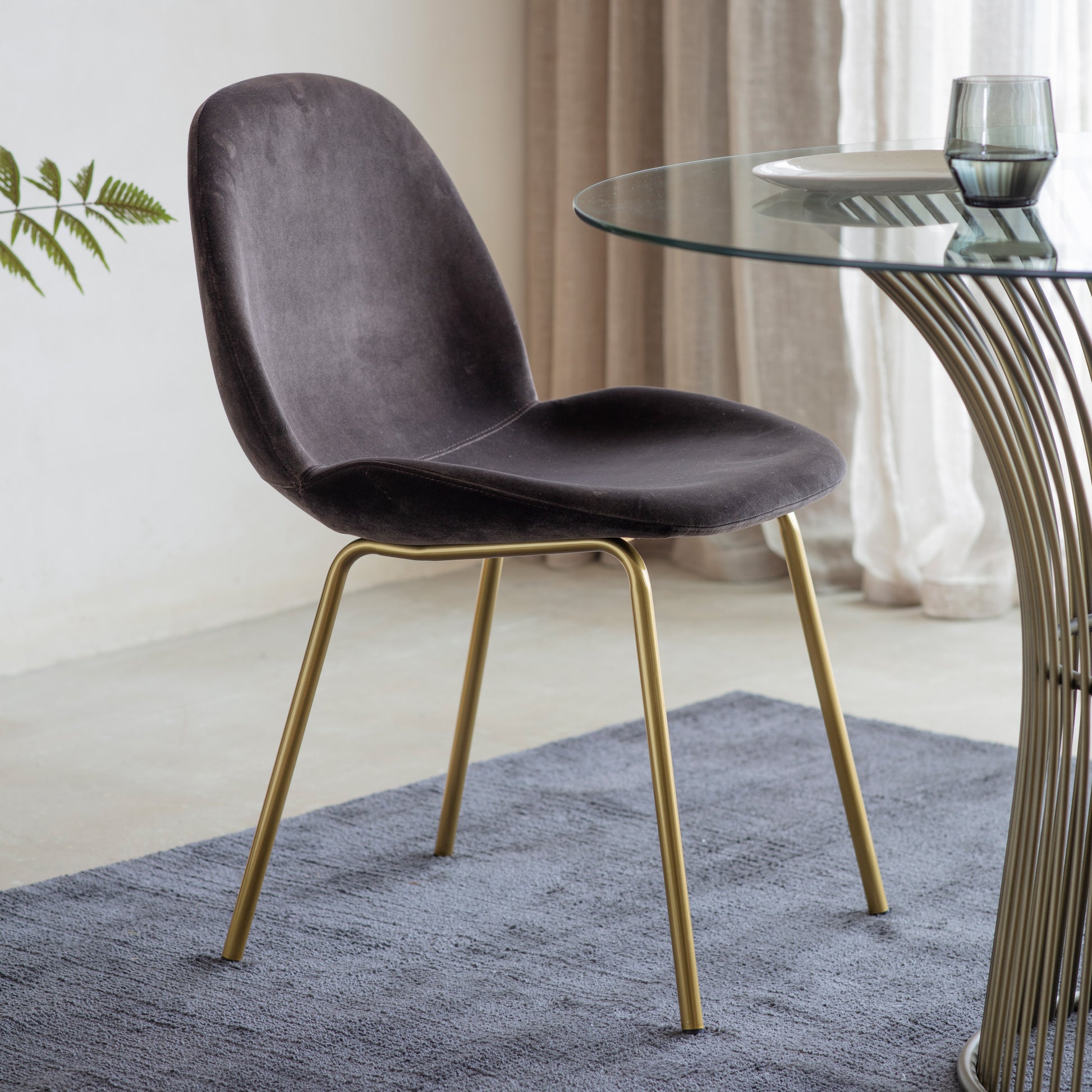 Flanagan Chair Velvet (2pk) Chocolate Brown