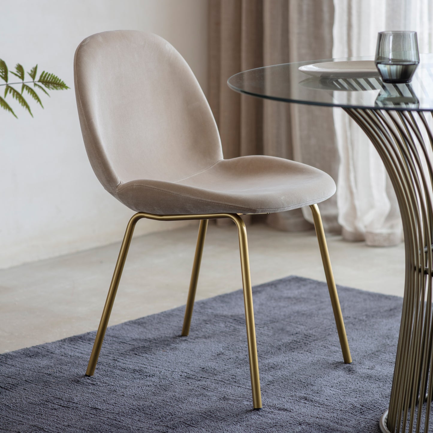 Flanagan Chair Velvet (2pk) Oatmeal