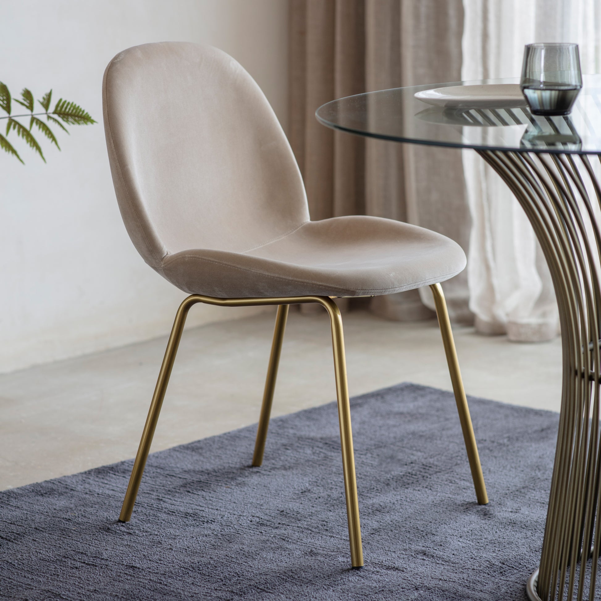 Flanagan Chair Velvet (2pk) Oatmeal