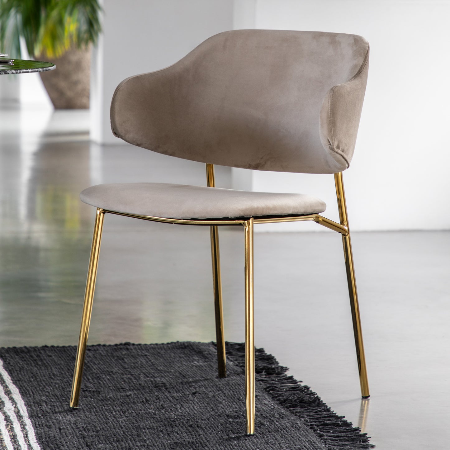 Whitehall Dining Chair Taupe