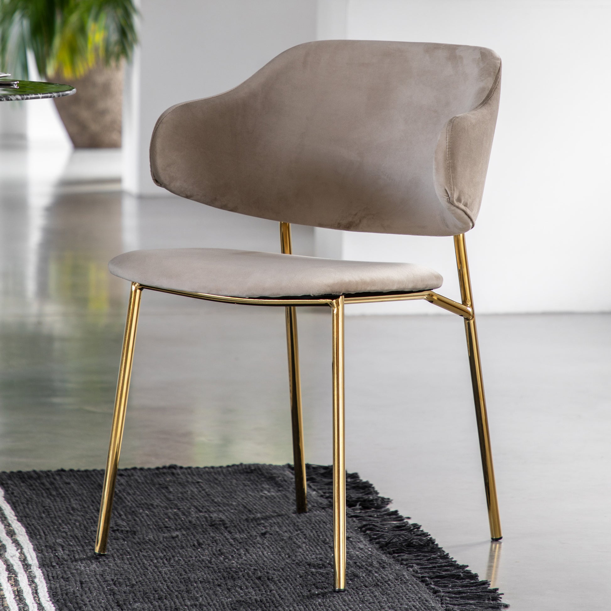 Whitehall Dining Chair Taupe