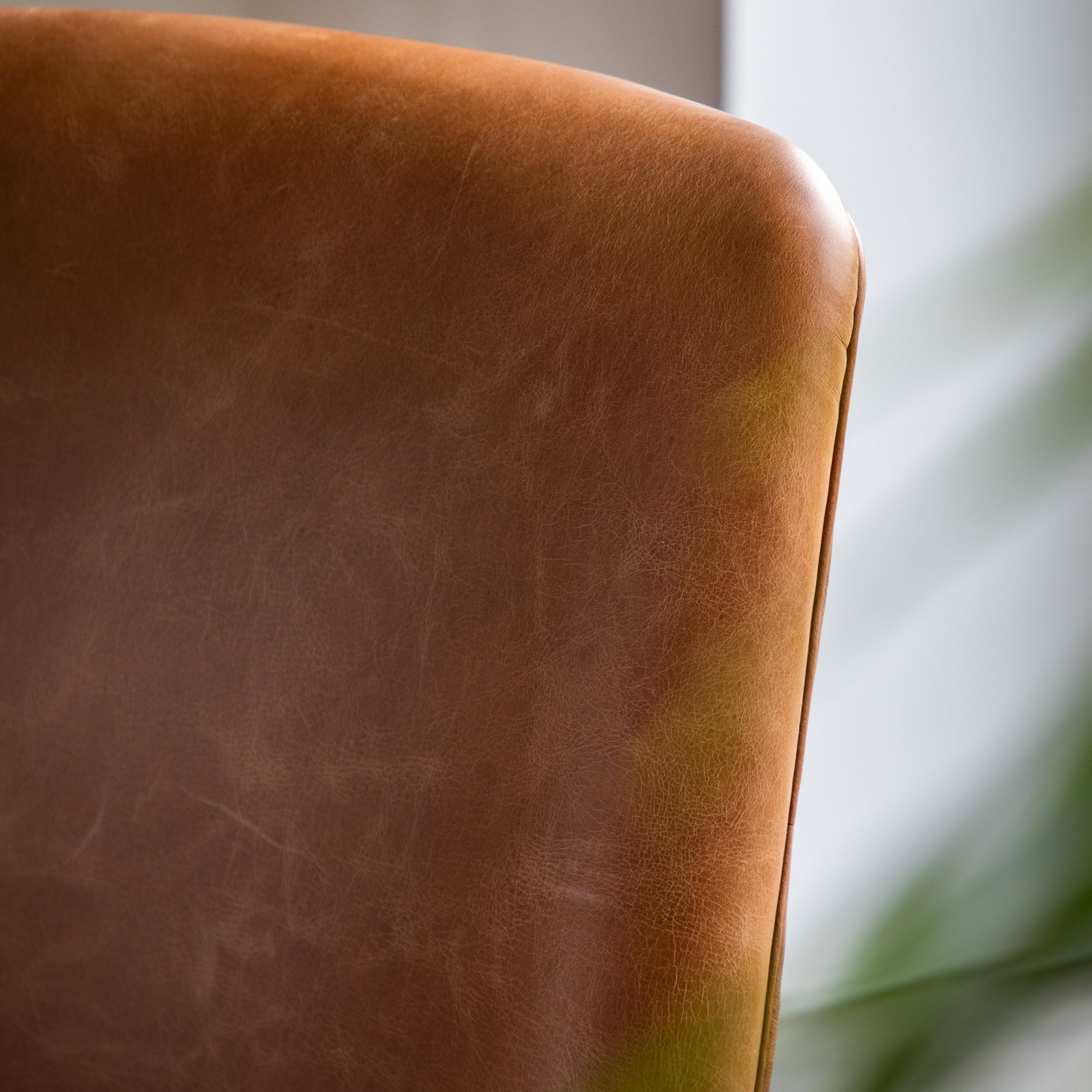 Carrera Armchair Brown